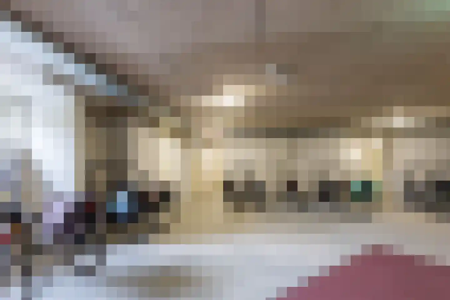 Hof van Luxemburg 238 Alkmaar thumbnail 27