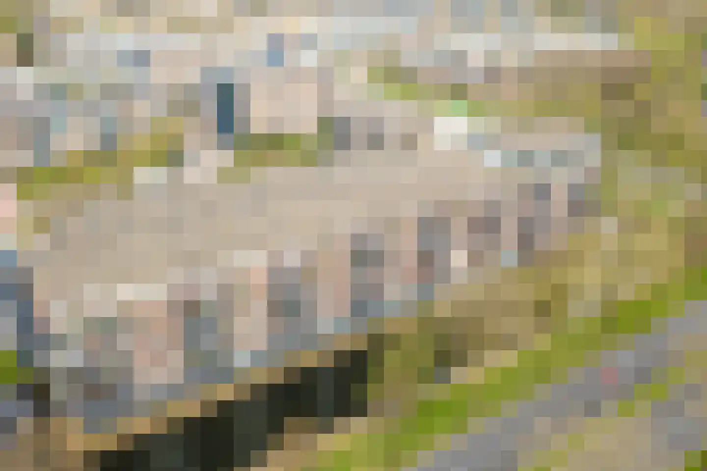 Hof van Luxemburg 238 Alkmaar thumbnail 29