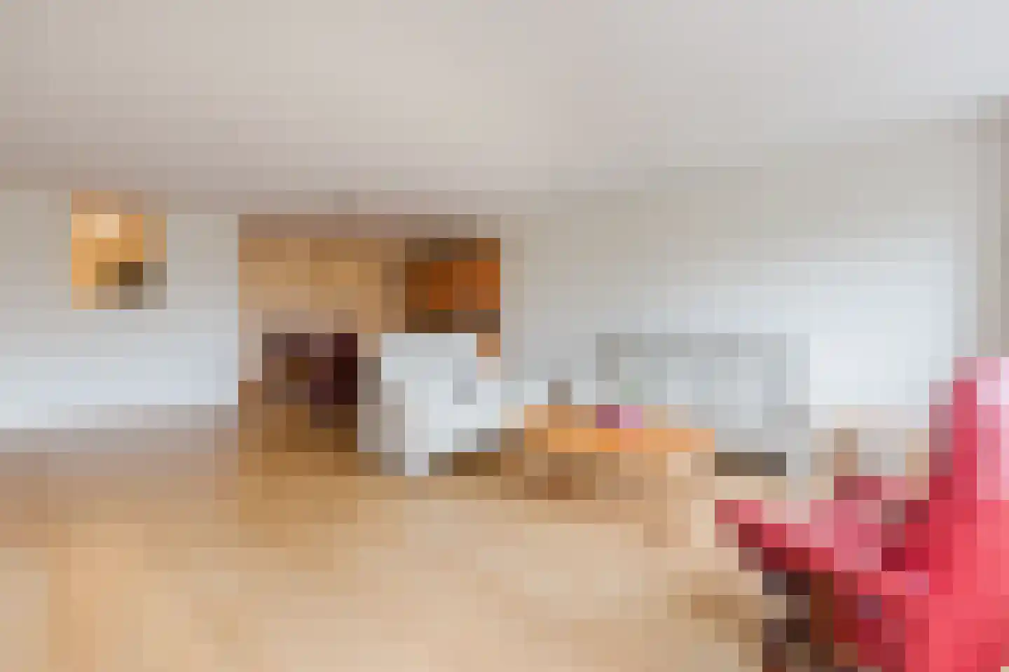 Hof van Luxemburg 238 Alkmaar thumbnail 6