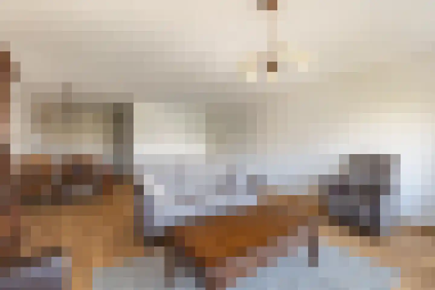 Hof van Luxemburg 240 Alkmaar thumbnail 9