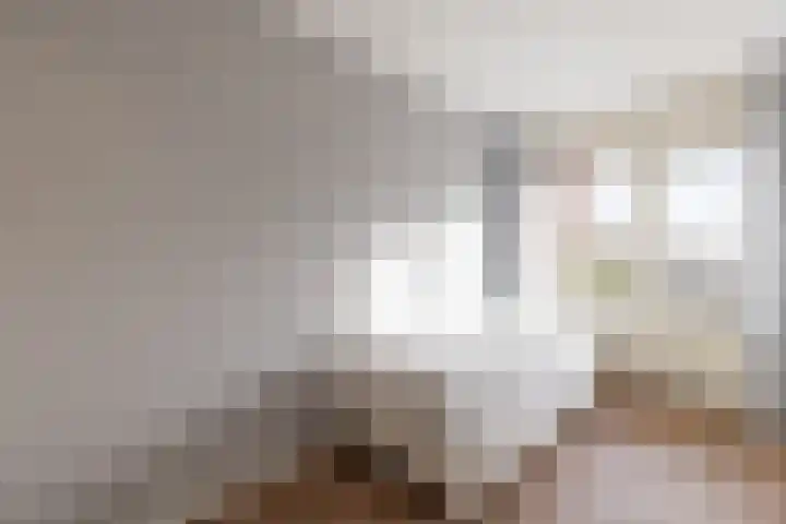 Hof van Luxemburg 251 Alkmaar thumbnail 13
