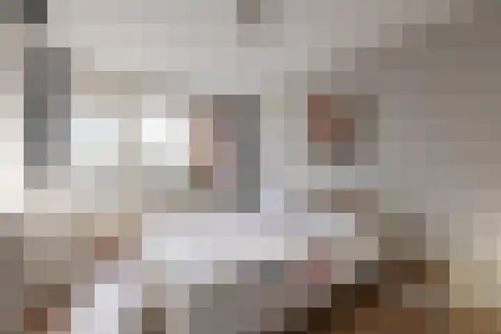 Hof van Luxemburg 251 Alkmaar thumbnail 15