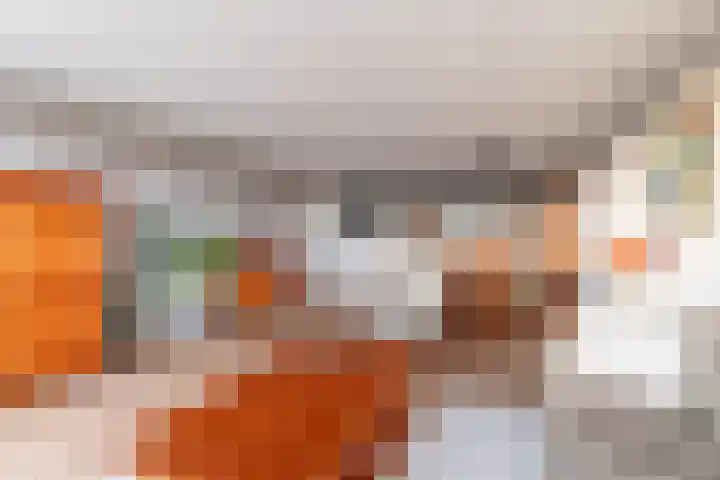 Hof van Luxemburg 251 Alkmaar thumbnail 4