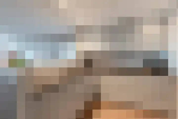 Hof van Luxemburg 251 Alkmaar thumbnail 6