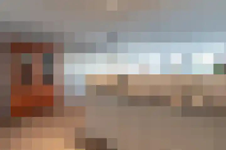Hof van Luxemburg 251 Alkmaar thumbnail 7
