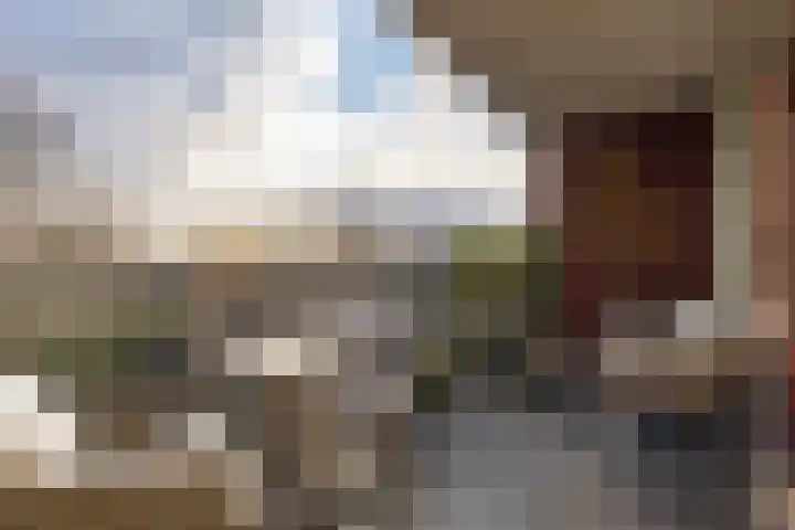 Hof van Luxemburg 251 Alkmaar thumbnail 9