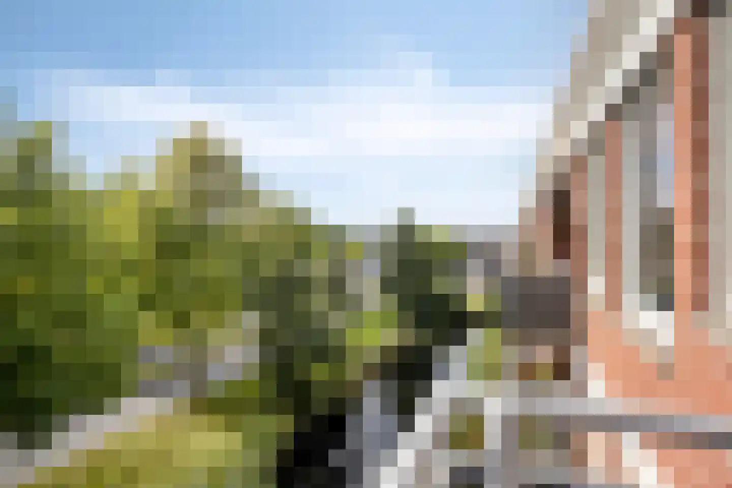Hof van Luxemburg 253 Alkmaar thumbnail 23