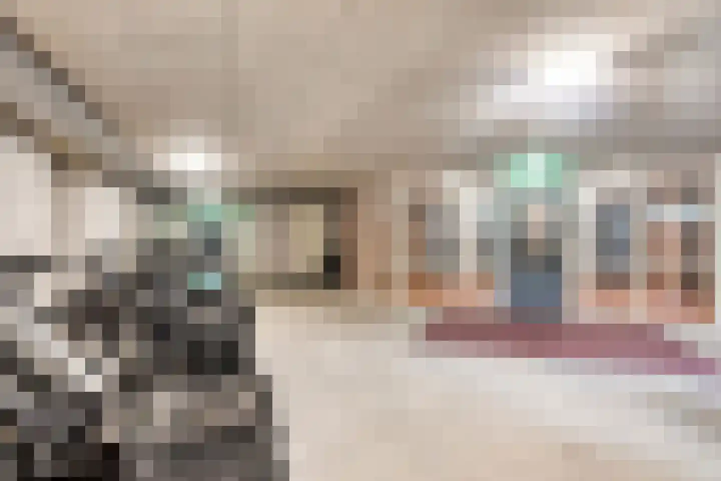 Hof van Luxemburg 253 Alkmaar thumbnail 33