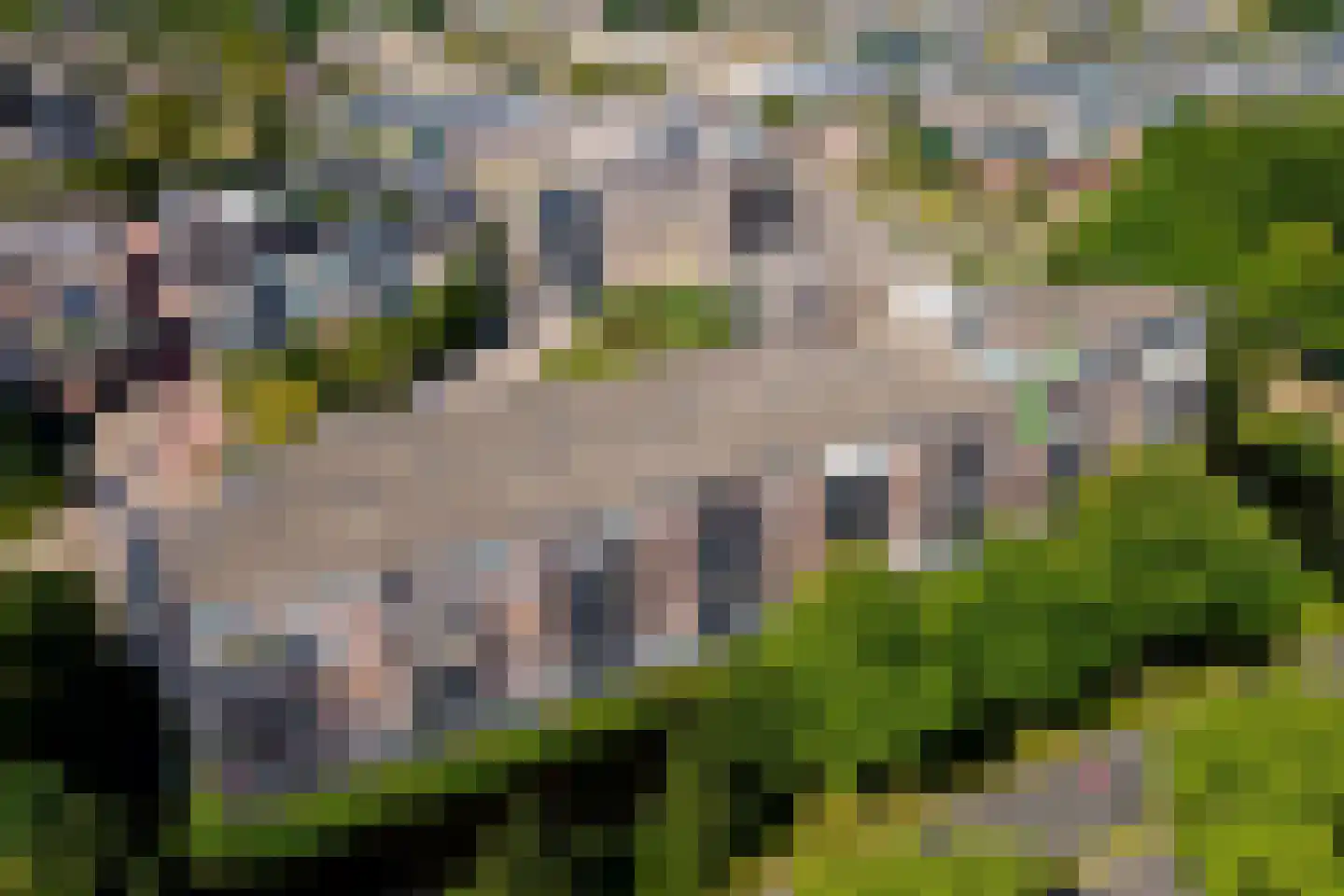 Hof van Luxemburg 253 Alkmaar thumbnail 4