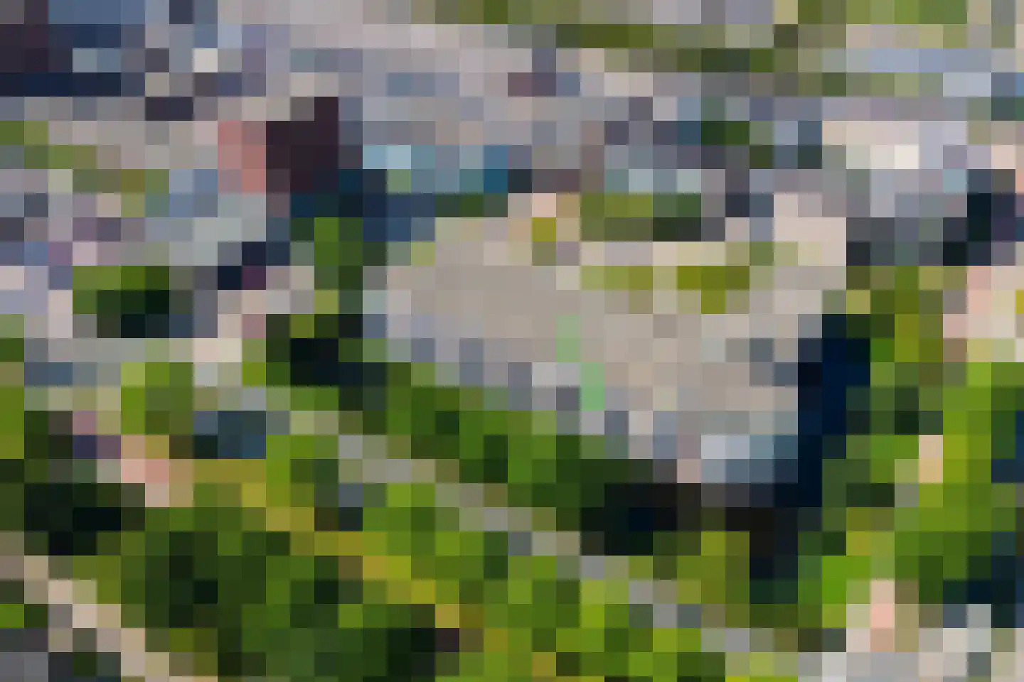 Hof van Luxemburg 253 Alkmaar thumbnail 5