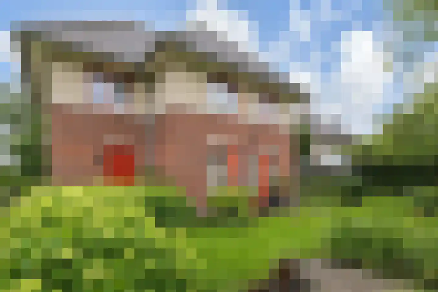 Hof van Naeltwijck 17 Nootdorp thumbnail 15