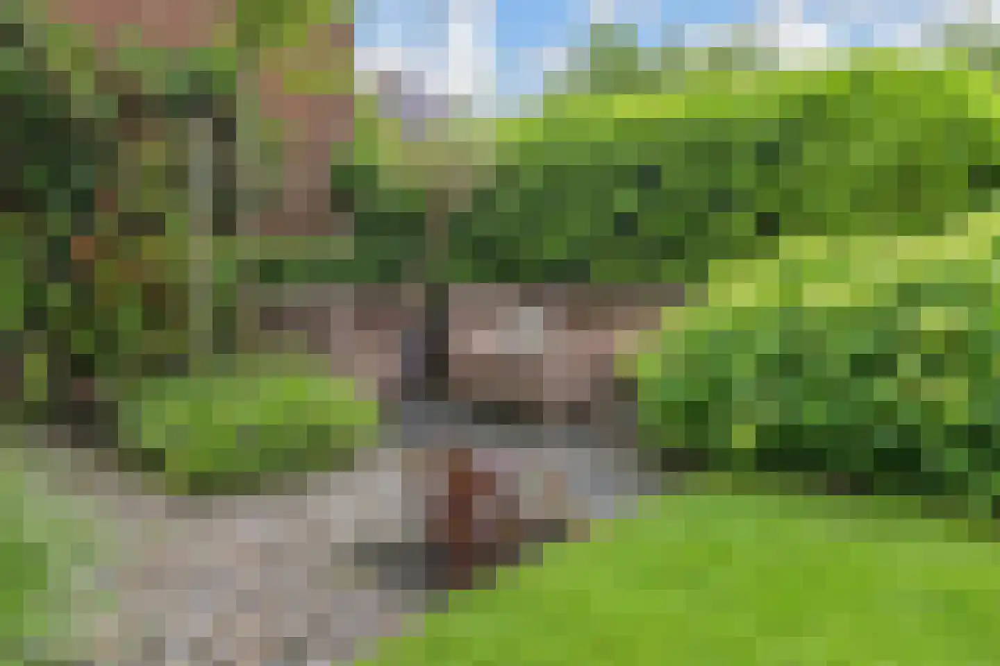 Hof van Naeltwijck 17 Nootdorp thumbnail 17