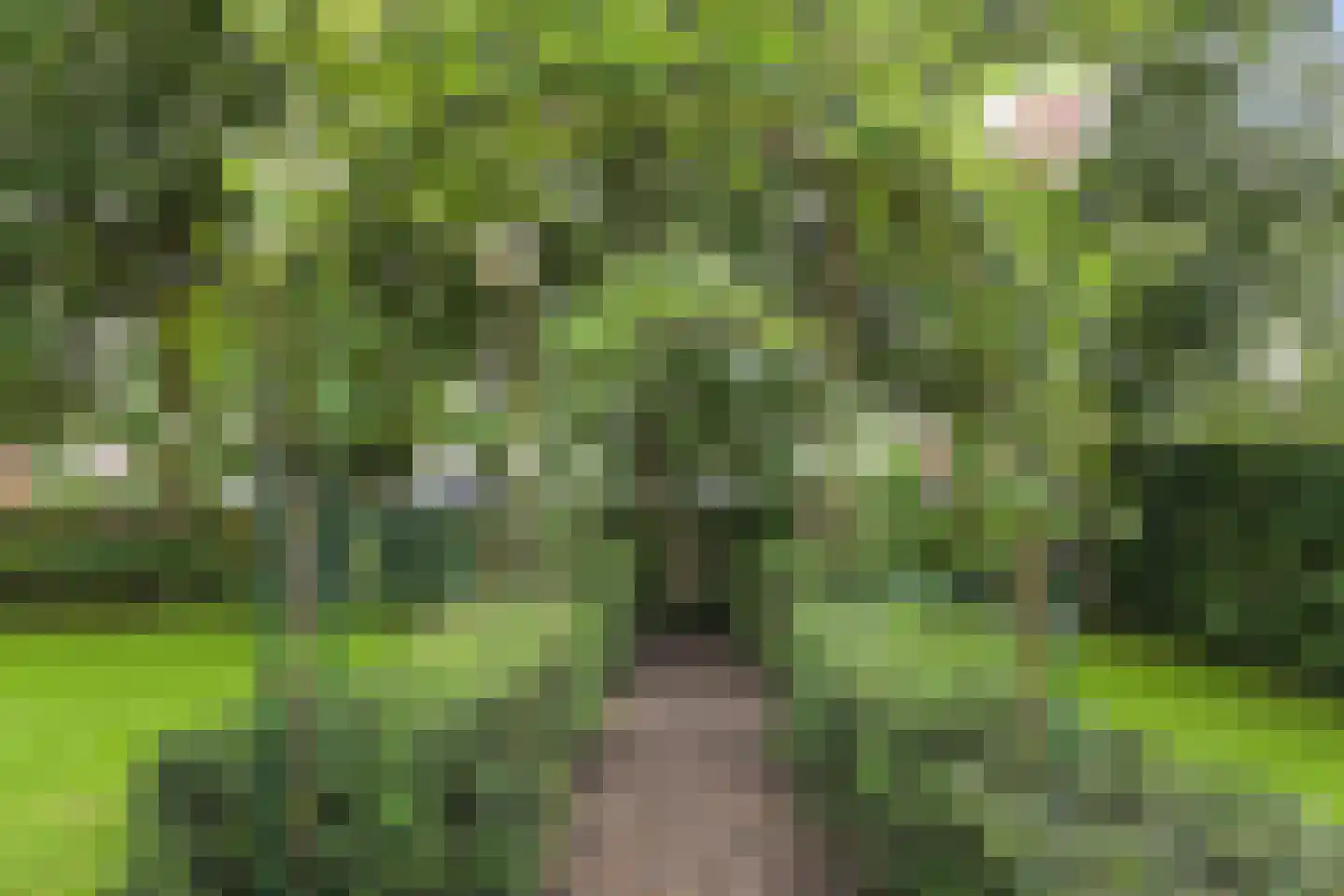Hof van Naeltwijck 17 Nootdorp thumbnail 18