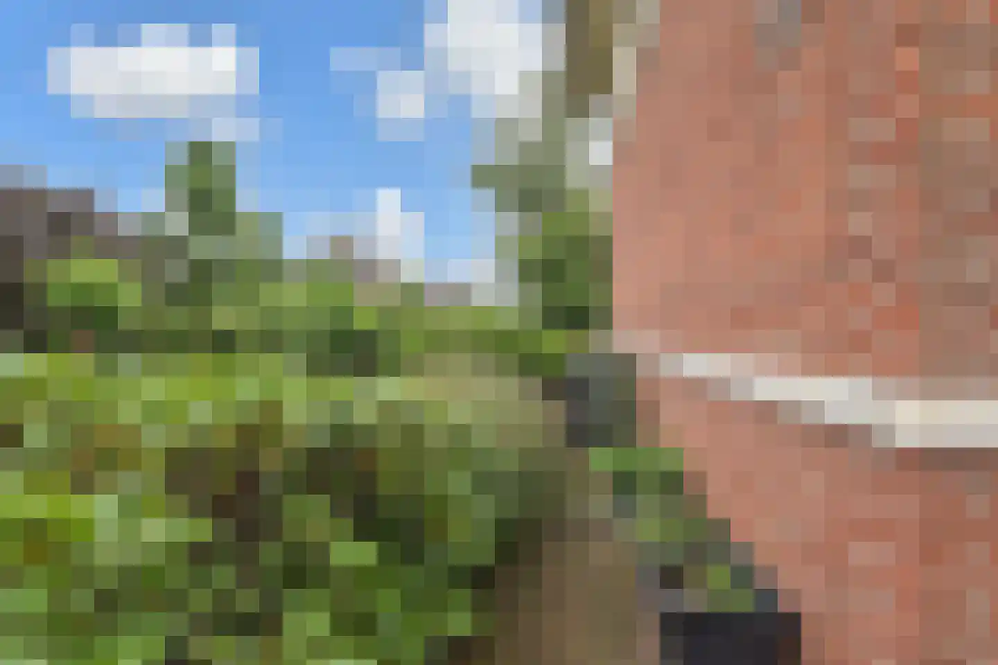 Hof van Naeltwijck 17 Nootdorp thumbnail 20