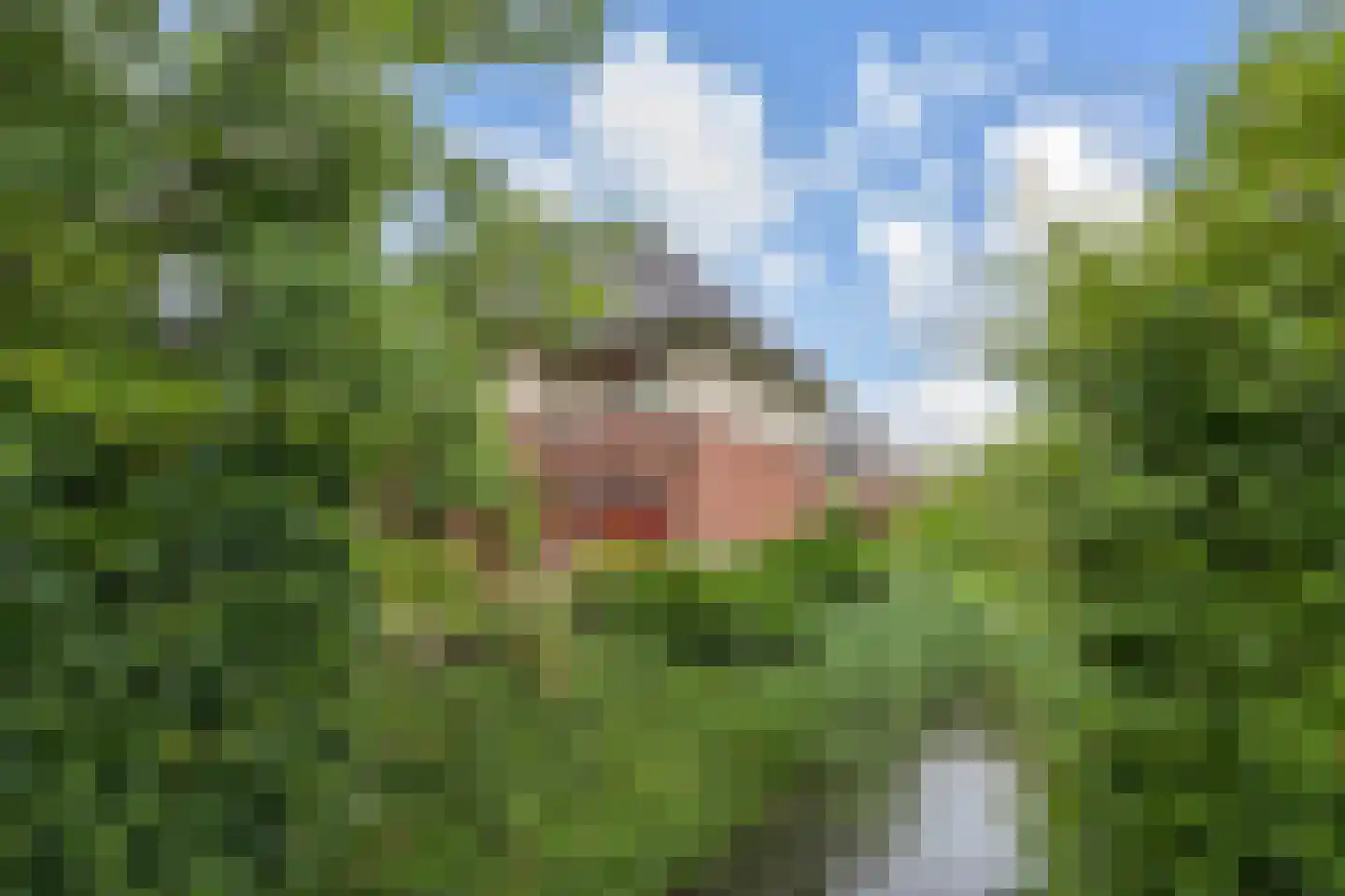 Hof van Naeltwijck 17 Nootdorp thumbnail 21
