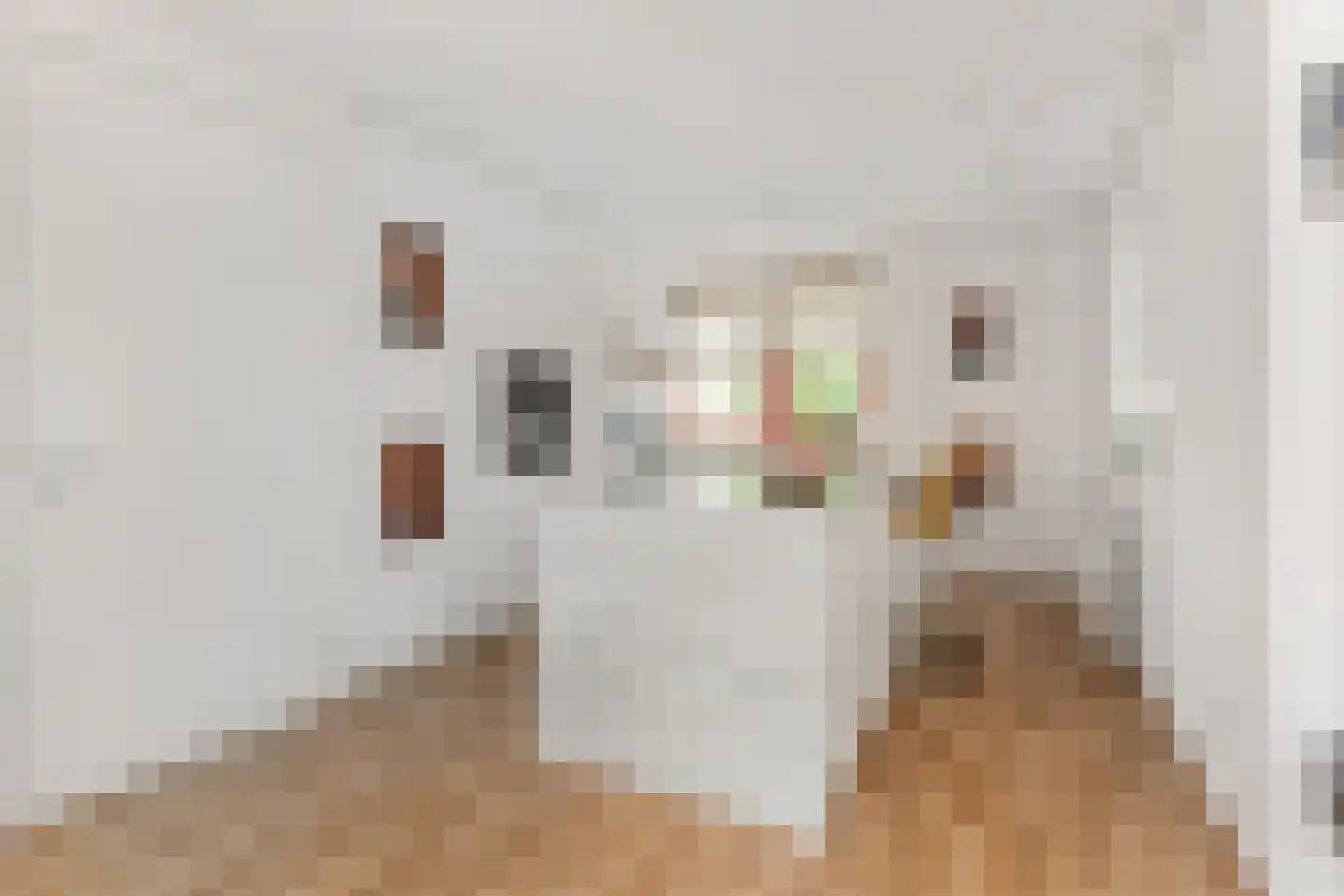 Hof van Naeltwijck 17 Nootdorp thumbnail 26