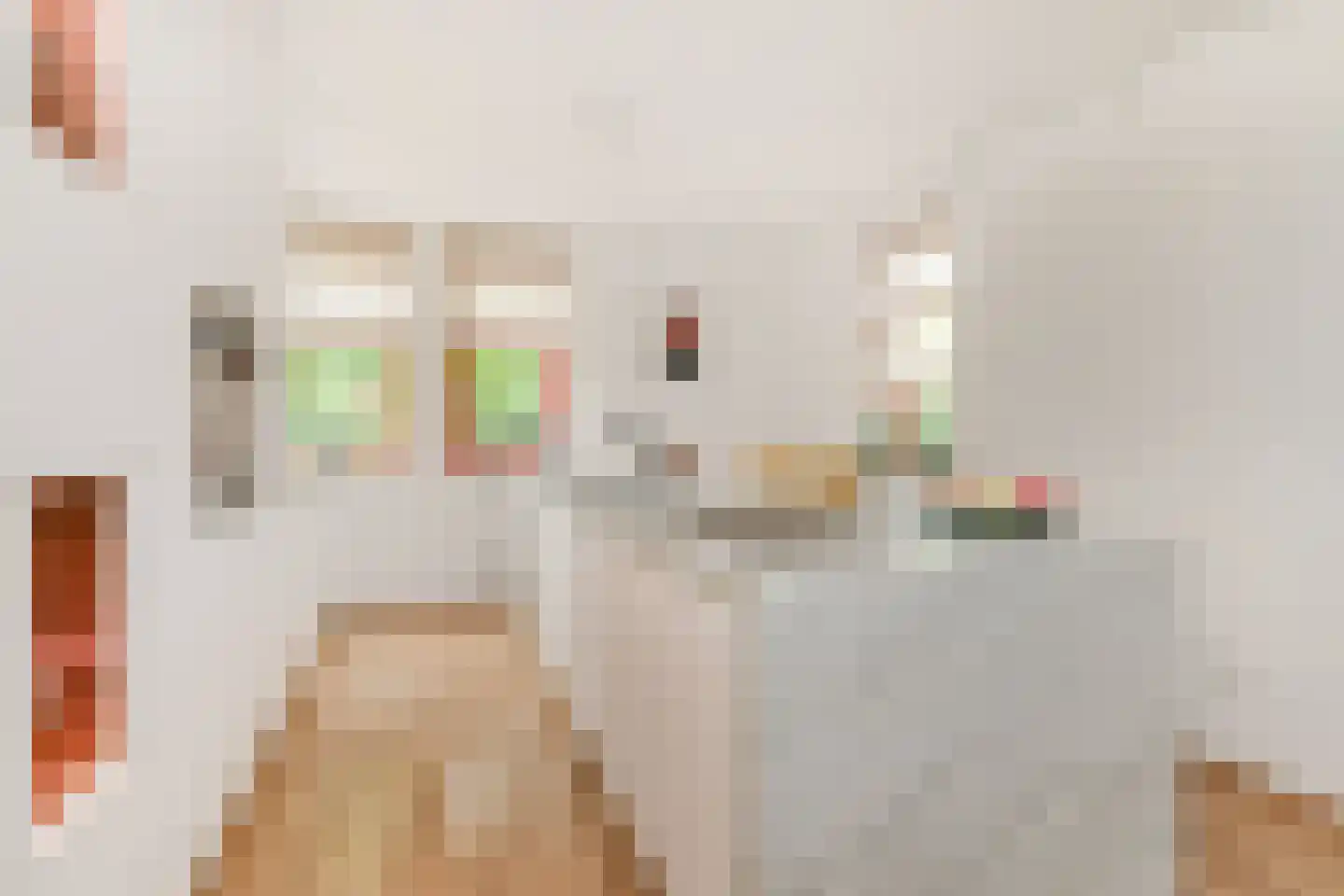 Hof van Naeltwijck 17 Nootdorp thumbnail 27