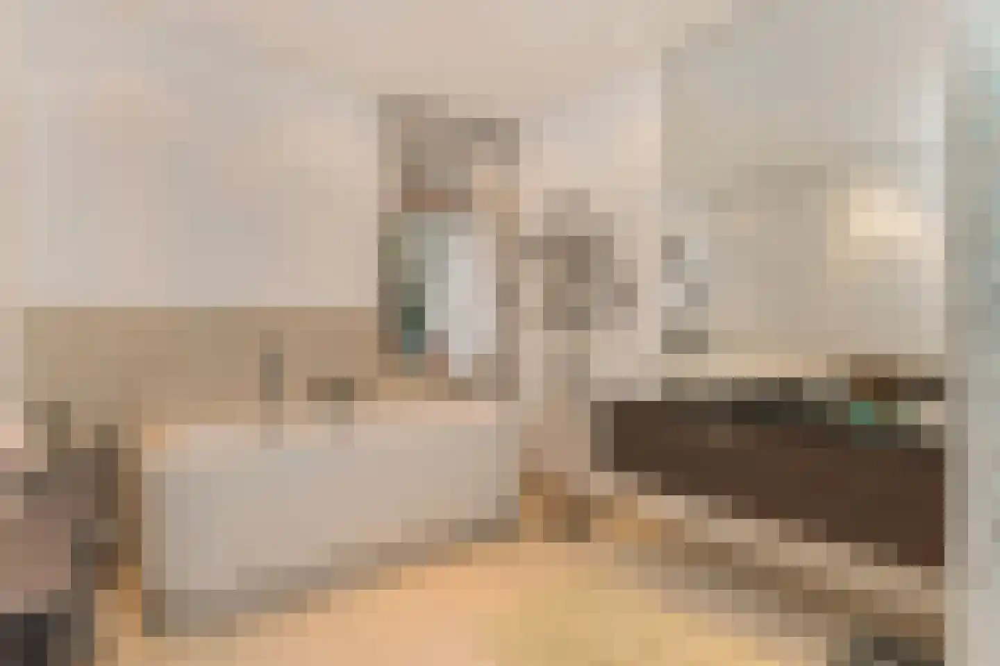 Hof van Naeltwijck 17 Nootdorp thumbnail 34