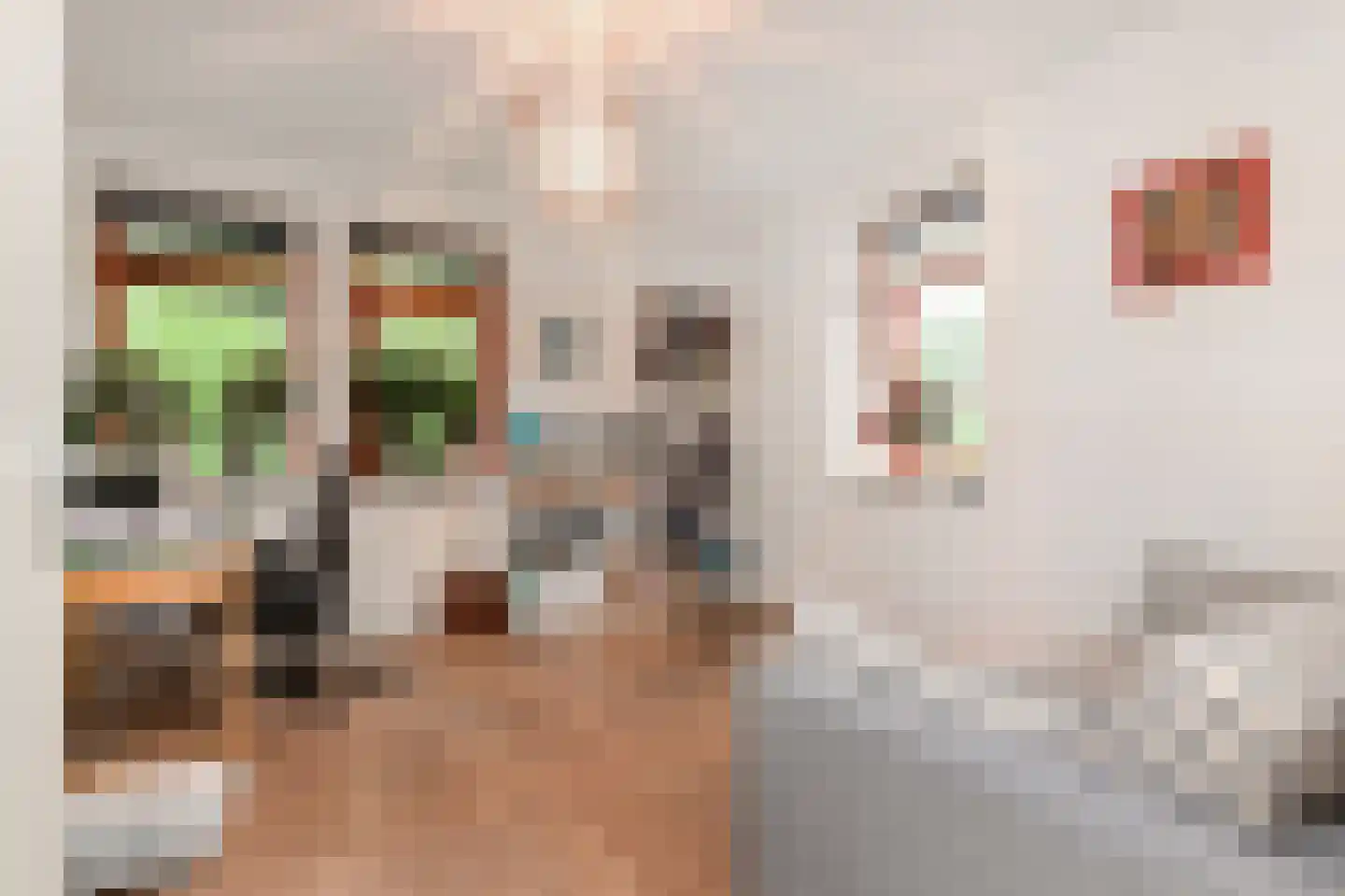 Hof van Naeltwijck 17 Nootdorp thumbnail 37