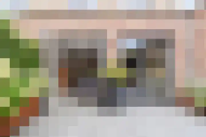 Hof van Naeltwijck 21 Nootdorp thumbnail 19