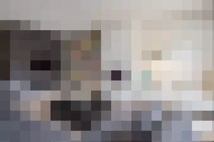 Hof van Naeltwijck 21 Nootdorp thumbnail 22