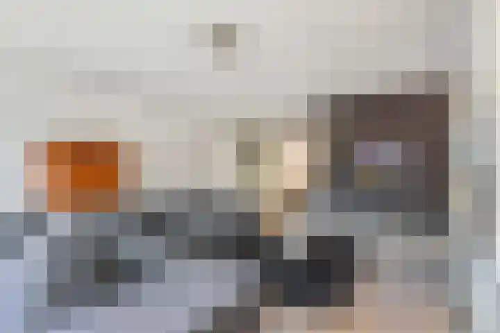 Hof van Naeltwijck 21 Nootdorp thumbnail 23