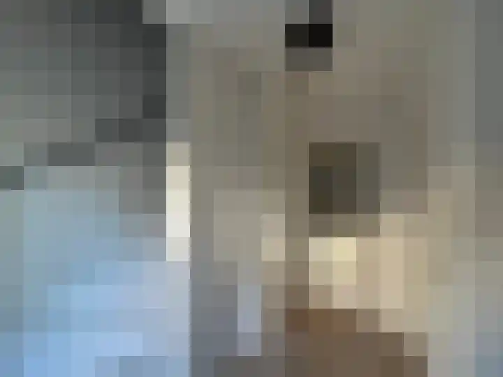 Hof van Naeltwijck 21 Nootdorp thumbnail 28