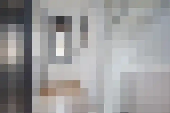 Hof van Naeltwijck 21 Nootdorp thumbnail 29