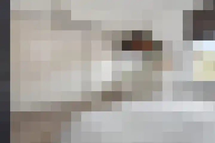 Hof van Naeltwijck 21 Nootdorp thumbnail 35