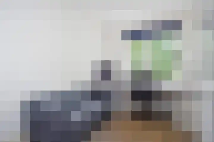 Hof van Naeltwijck 21 Nootdorp thumbnail 38