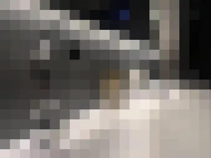 Hof van Naeltwijck 21 Nootdorp thumbnail 44