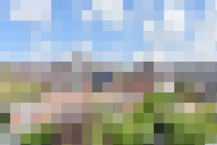 Hof van Naeltwijck 21 Nootdorp thumbnail 52