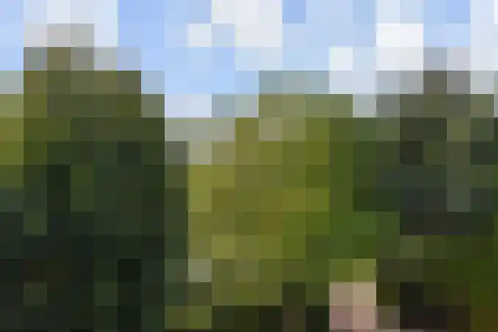 Hof van Naeltwijck 21 Nootdorp thumbnail 56
