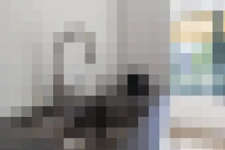 Hof van Nazareth 29 Gemert thumbnail 12