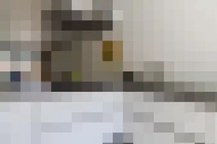 Hof van Nazareth 29 Gemert thumbnail 13