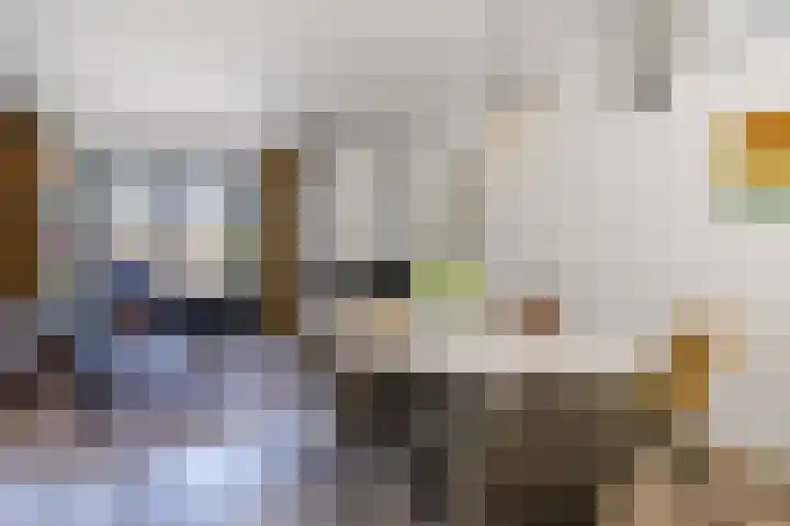 Hof van Nazareth 29 Gemert thumbnail 23