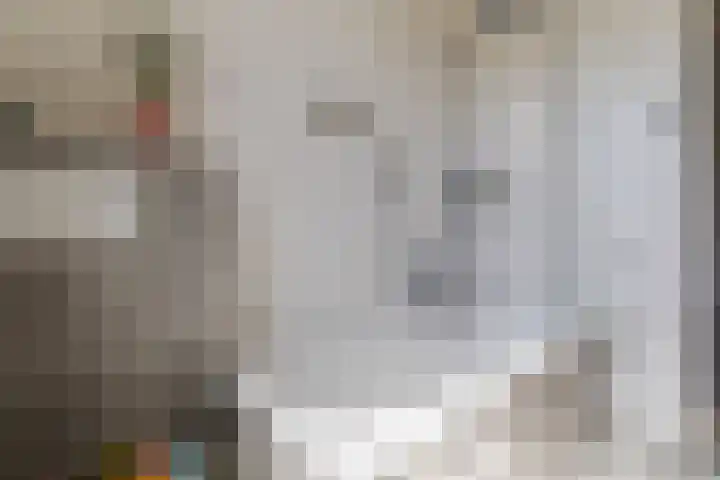 Hof van Nazareth 29 Gemert thumbnail 31
