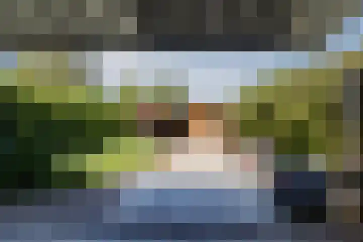 Hof van Nazareth 29 Gemert thumbnail 42