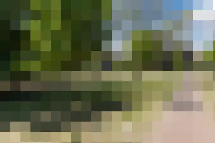 Hof van Nazareth 29 Gemert thumbnail 44