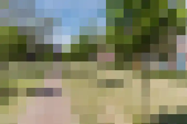 Hof van Nazareth 29 Gemert thumbnail 45