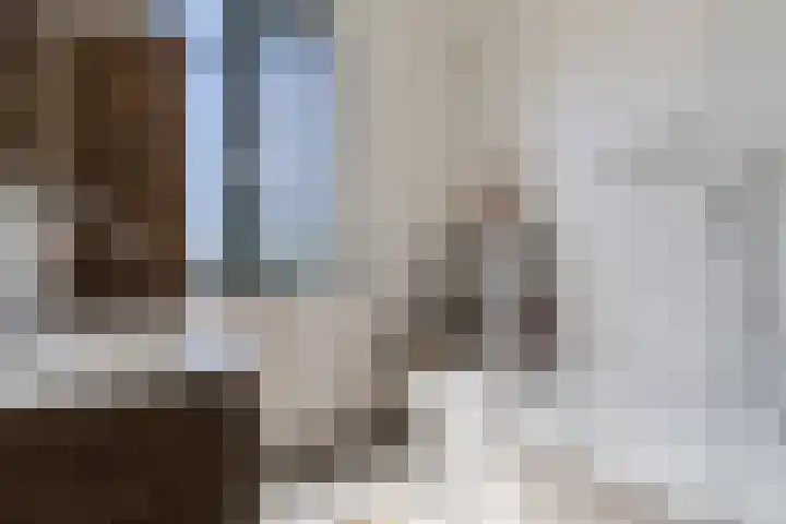 Hof van Nazareth 29 Gemert thumbnail 5