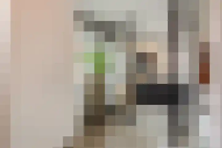 Hof van Nazareth 33 Gemert thumbnail 11