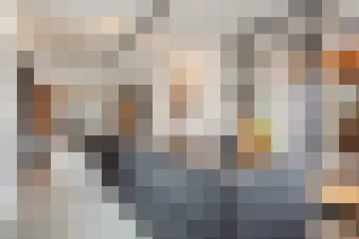 Hof van Nazareth 33 Gemert thumbnail 12