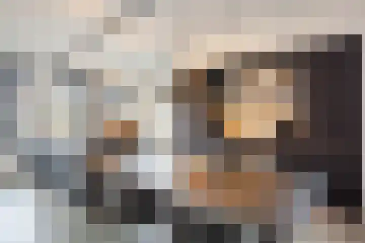 Hof van Nazareth 33 Gemert thumbnail 16