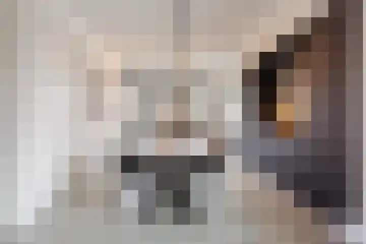 Hof van Nazareth 33 Gemert thumbnail 17