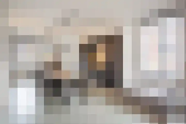 Hof van Nazareth 33 Gemert thumbnail 18