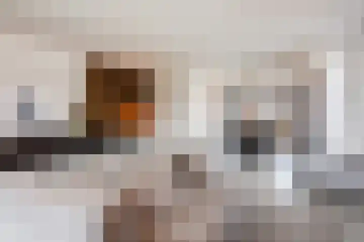 Hof van Nazareth 33 Gemert thumbnail 24