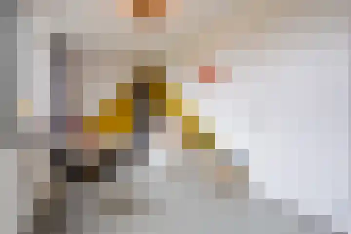 Hof van Nazareth 33 Gemert thumbnail 30