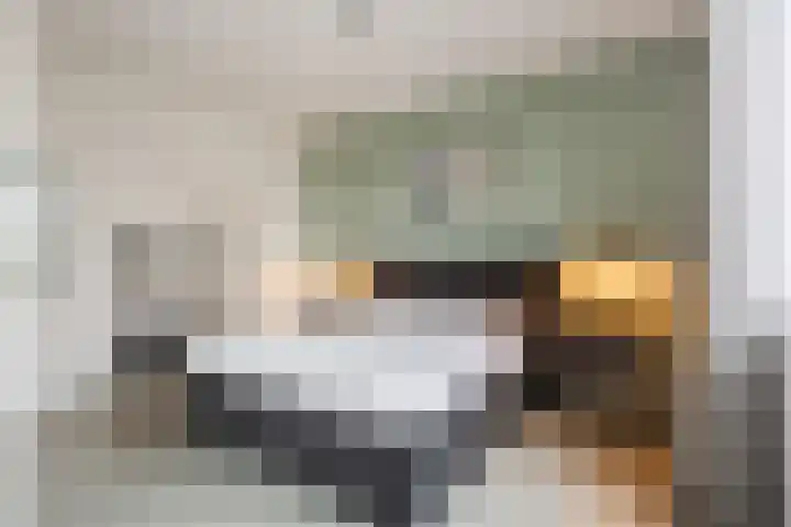Hof van Nazareth 33 Gemert thumbnail 32