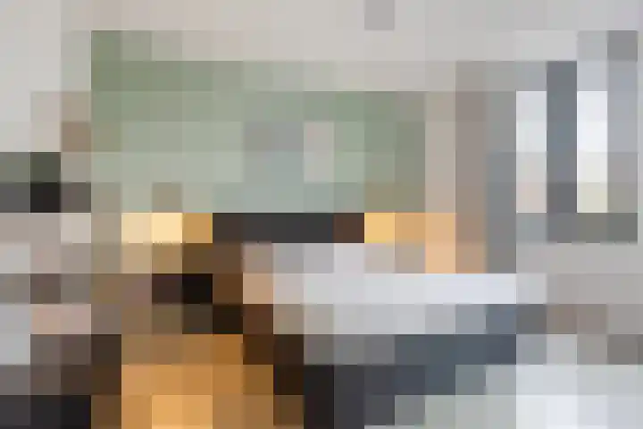Hof van Nazareth 33 Gemert thumbnail 33